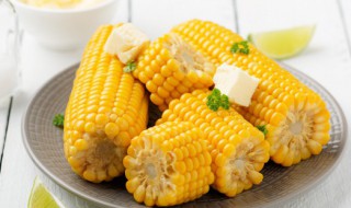 玉米搭配哪些食物食用能减肥（玉米搭配哪些食物食用能减肥呢）